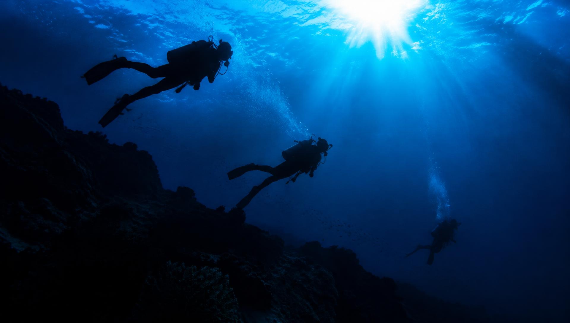 Scuba divers swimming beneath sunlit water